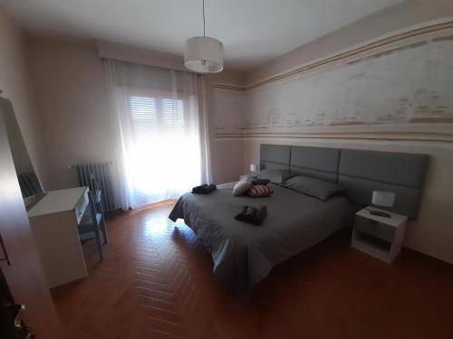 Photo of Others in L'Aquila