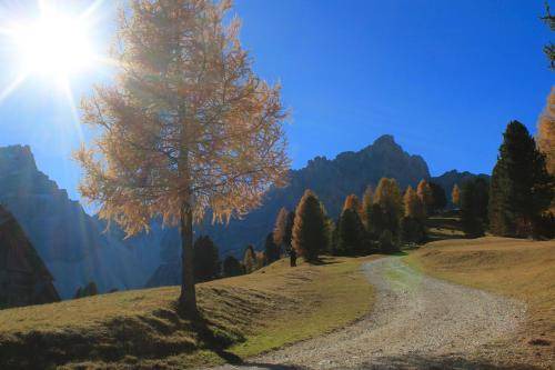 Photo of Others in Corvara in Badia