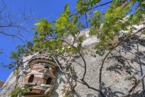 Photo of Others in Calice Ligure