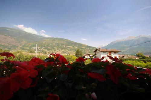 Photo of Others in Pila