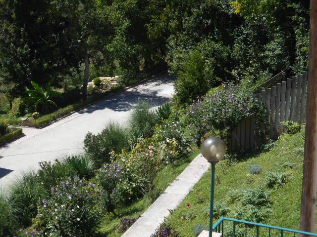 Photo of Others in Campo di Fano