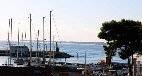 Photo of Others in Crotone
