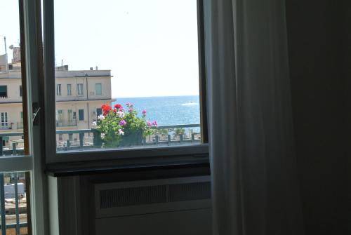 Photo of Others in Salerno