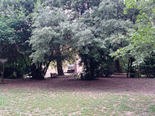 Photo of Outdoor in Casalgrande