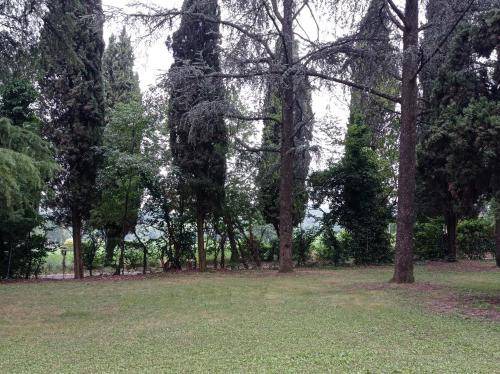 Photo of Outdoor in Casalgrande
