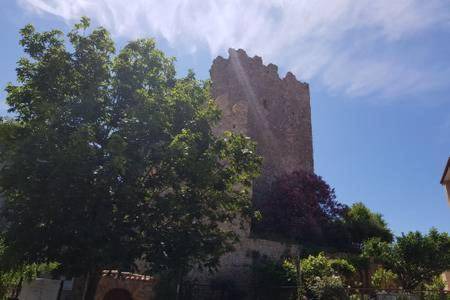 Photo of Others in Camerota