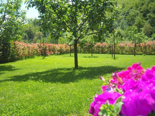 Photo of Outdoor in Gallicano