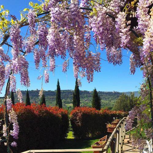 Photo of Others in Orvieto