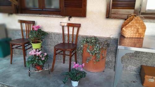 Photo of Others in Busto Arsizio