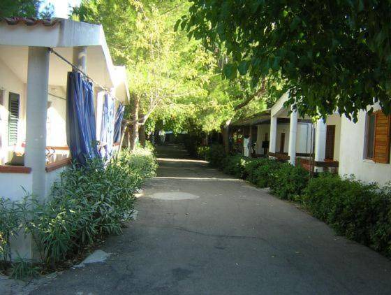 Photo of Others in Foce Varano