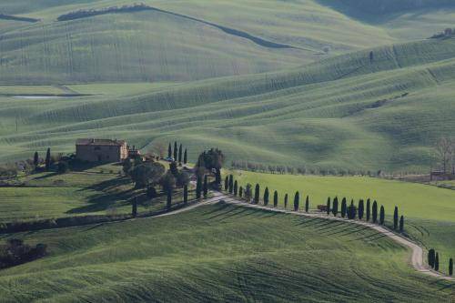 Photo of Others in Civitella in Val di Chiana