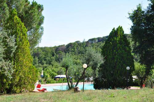 Photo of Others in Castelnuovo Berardenga
