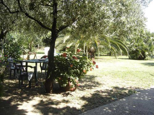 Photo of Others in Porto Sant'Elpidio