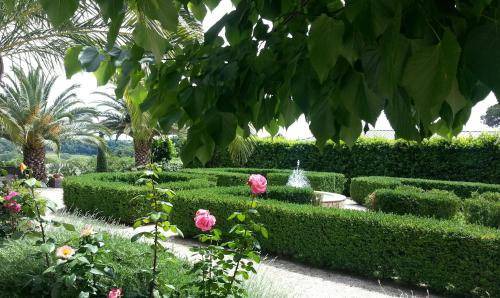 Photo of Others in Tuscania