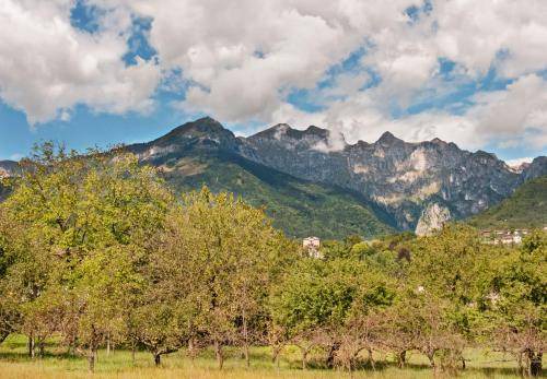 Photo of Outdoor in Pedavena
