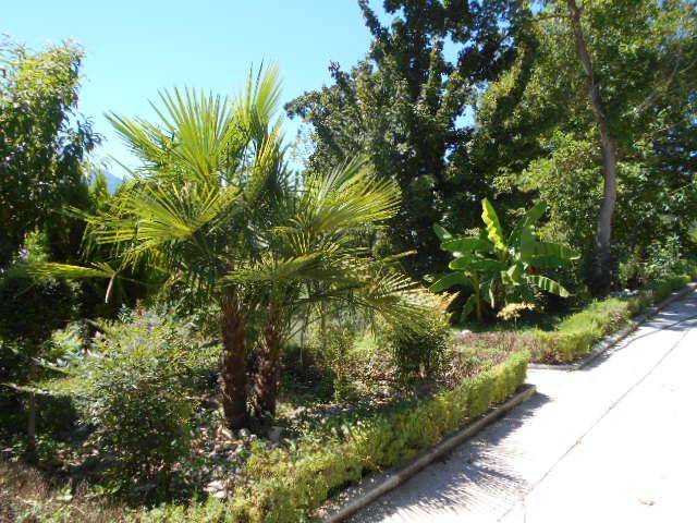 Photo of Others in Campo di Fano