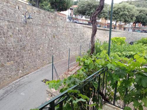 Photo of Others in Casal Velino