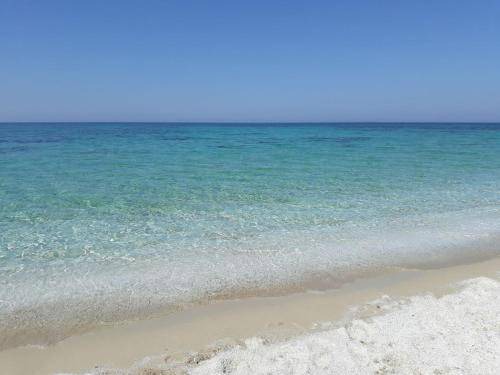 Photo of Others in Oristano