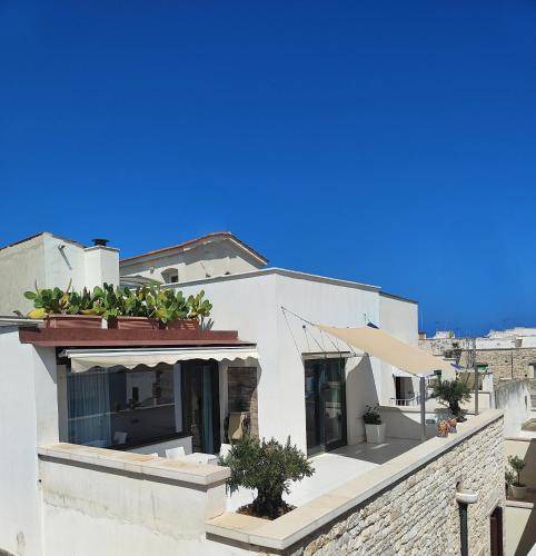 Photo of Others in Molfetta