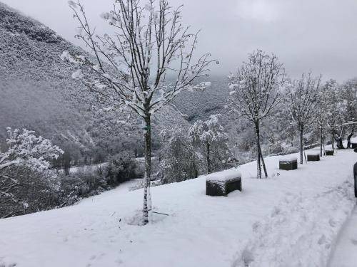 Photo of Others in Pieve Torina