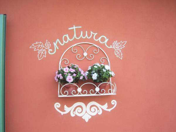Photo of Others in Gallicano