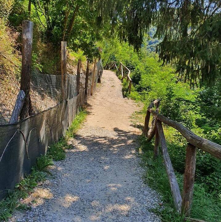 Photo of Others in Castelnuovo di Garfagnana