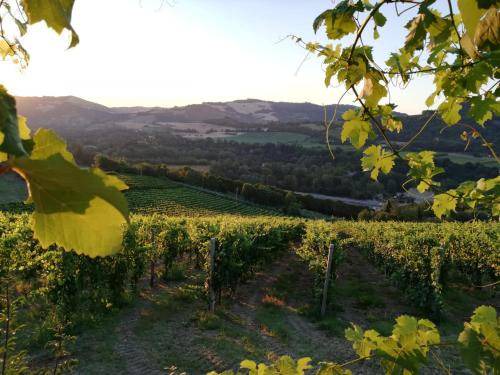 Photo of Outdoor in Pieve Salutare