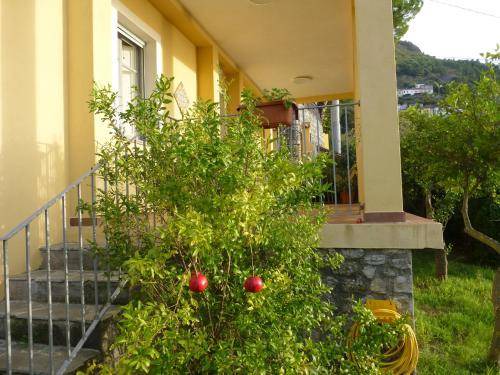 Photo of Others in Maratea