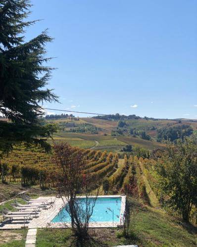 Photo of Others in Nizza Monferrato