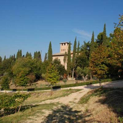 Photo of Others in Corridonia