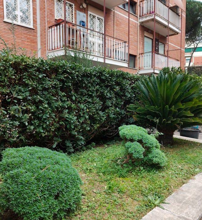 Photo of Others in Quartiere XXVII Primavalle