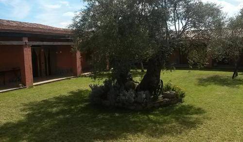 Photo of Others in Ilbono