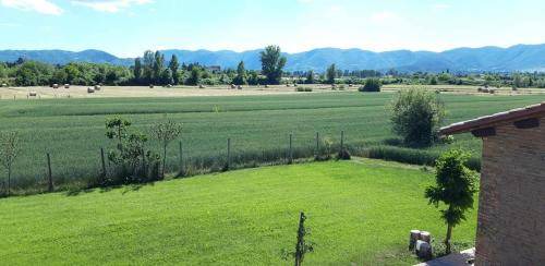 Photo of Others in Rieti