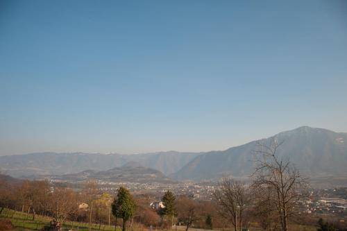 Photo of Others in Pedavena