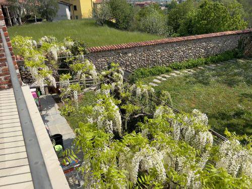 Photo of Others in Almenno San Salvatore