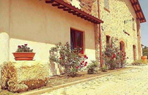Photo of Others in Rieti