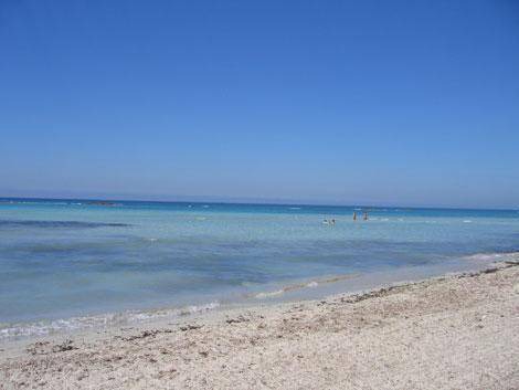 Photo of Others in Torre Mozza