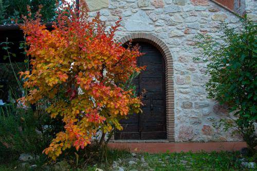 Photo of Others in Norcia
