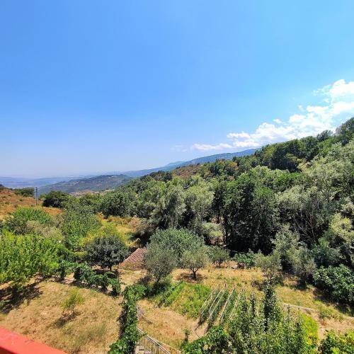 Photo of Outdoor in Caccuri