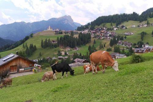 Photo of Others in Colle Santa Lucia