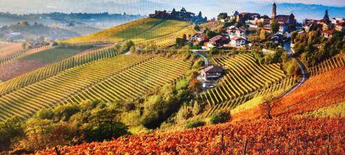Photo of Others in Barbaresco