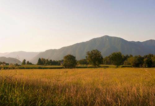 Photo of Outdoor in Pedavena