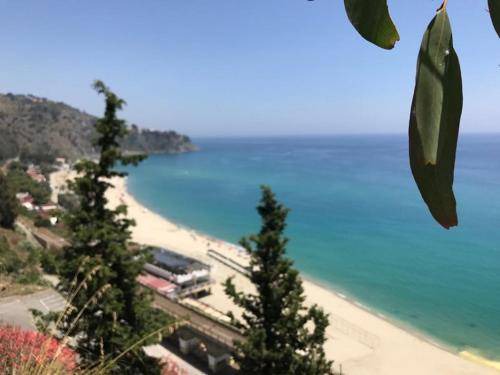 Photo of Outdoor in Staletti