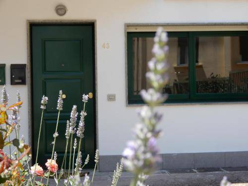 Photo of Others in Campobasso