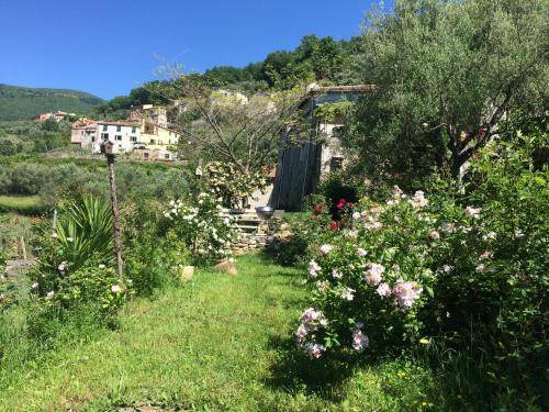 Photo of Others in Calice Ligure