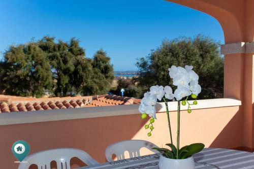 Photo of Patio Balcony in San Teodoro City Centre