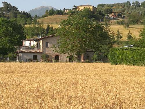 Photo of Others in Rieti