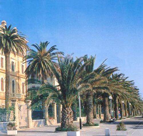 Photo of Others in Grottammare