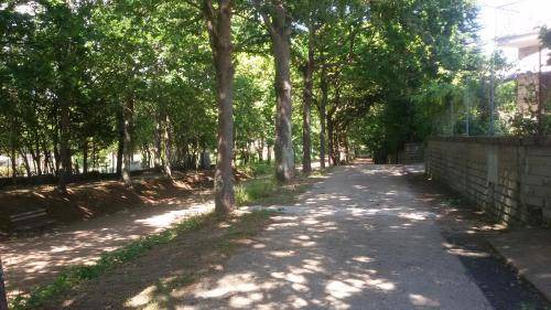 Photo of Others in Poggio