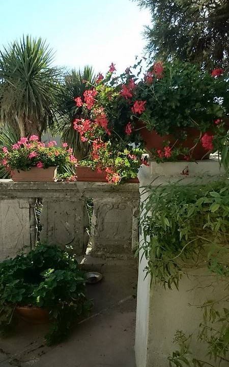 Photo of Others in Cava de' Tirreni